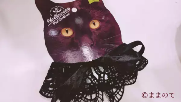 【2020】セリア（Seria）のハロウィンアイテム8選！パーティーにも活躍の実用グッズを紹介