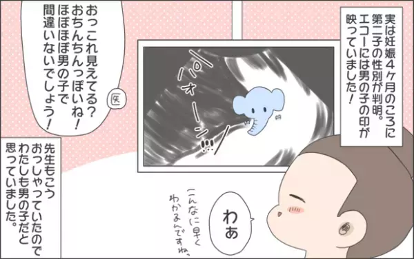 【#22】赤ちゃんの性別が無事判明！かと思いきや…！？ byおかめ