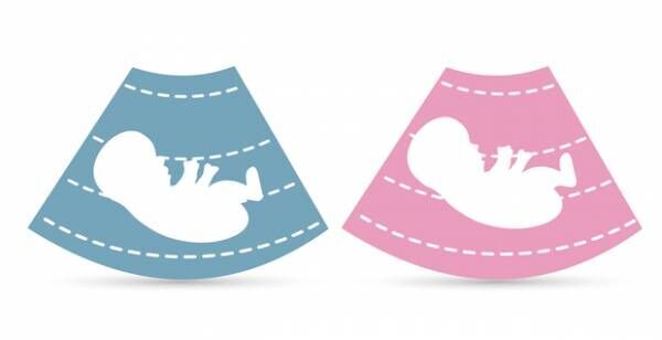 【産婦人科医監修】妊娠初期判定「ベビーナブ」とは？いつから&amp;見方は？お腹の赤ちゃん男の子か女の子かがわかる？