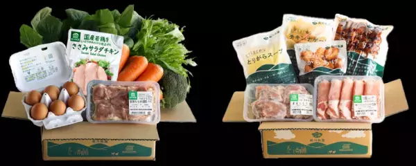 【徹底比較】プレママ・ママにおすすめ食材宅配8選！超簡単調理キットもある？お試しやサンプルでお得利用