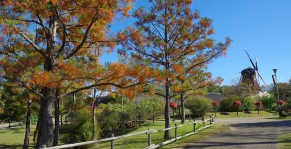 コロナ禍でも子連れでおでかけを楽しみたい！安心できるスポット選びのポイント&感染対策、持ち物を紹介