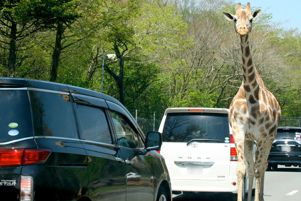 コロナ禍でも子連れでおでかけを楽しみたい！安心できるスポット選びのポイント&感染対策、持ち物を紹介