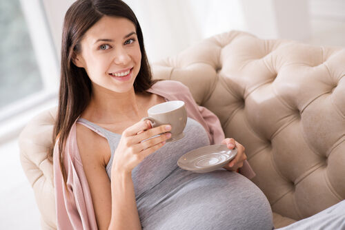 妊娠中はルイボスティーの飲み過ぎに注意！胎児への影響について解説