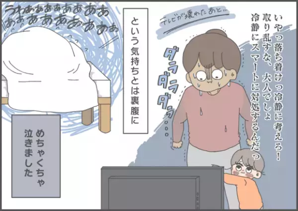 【#64】続報！悲劇の後の急展開。これで一転、助かりました…！ byおかめ