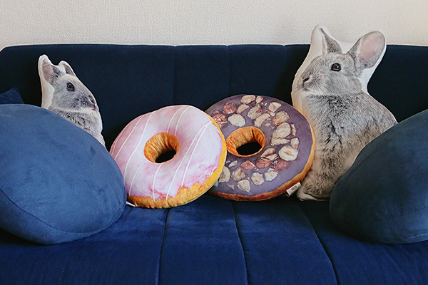 【部屋カワ♡】ニトリのクッションがごほうび級のモチモチ感！