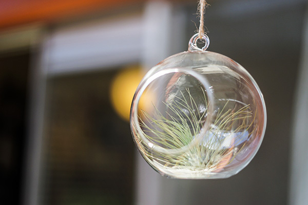 【3COINS】あのオシャレアイテムが300円で買えて歓喜！