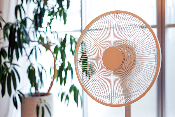 SNS映え抜群！部屋に置きたいおしゃれな扇風機8選
