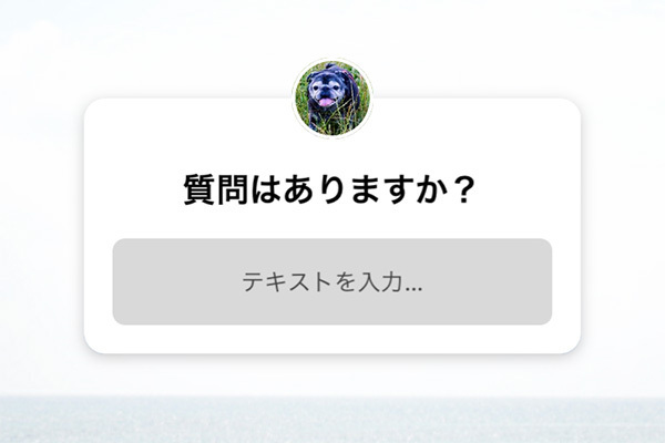 【インスタの新機能】もう試した？ 気になる使い方は…