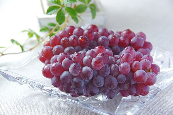 面倒くさがりもこれで解決！ ブドウの簡単な食べ方