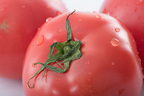 うまみたっぷり！簡単でおいしいまるごとトマトレシピ3選
