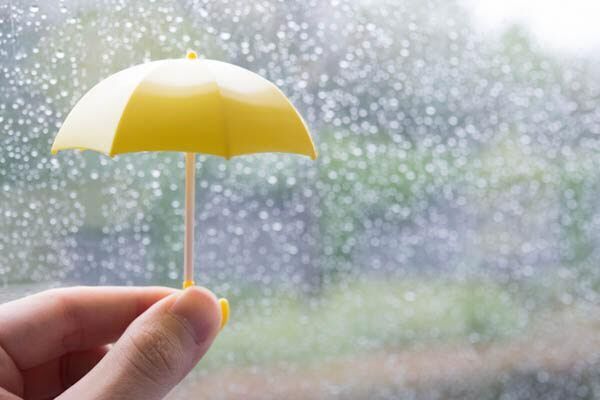 【梅雨】意外と知らない傘のお手入れ方法