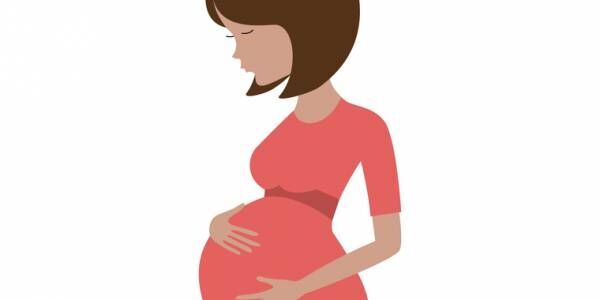妊娠におけるタイミングと医療保険の加入条件について