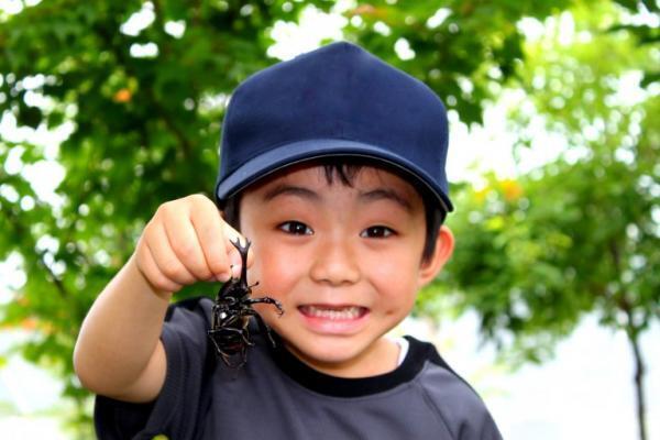 夏こそ「虫育!」アゲハを飼って変わった虫嫌いママと子どもの価値観