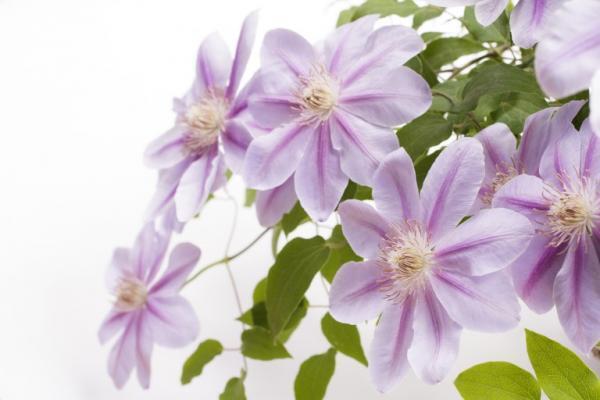 奥様との素敵な夜に…ワインのプレゼントはいかがですか?