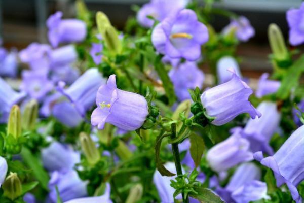 奥様との素敵な夜に…ワインのプレゼントはいかがですか?