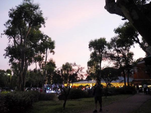 夏こそ、オトナは動物園!?　︎夜の動物たちをオススメスポットで撮影しよう♪