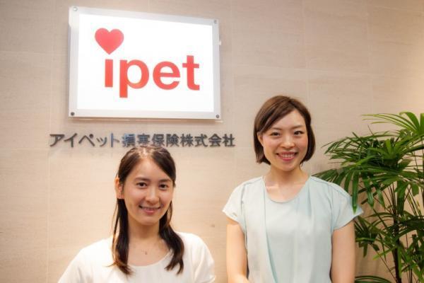 ペットと飼い主に優しいサービスを目指してｰｰアイペット損害保険