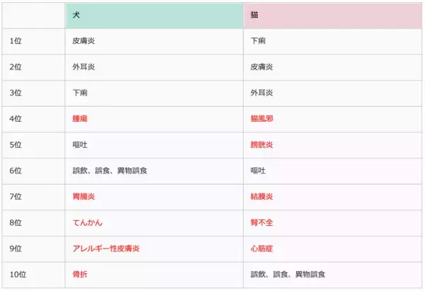 ペットと飼い主に優しいサービスを目指してｰｰアイペット損害保険