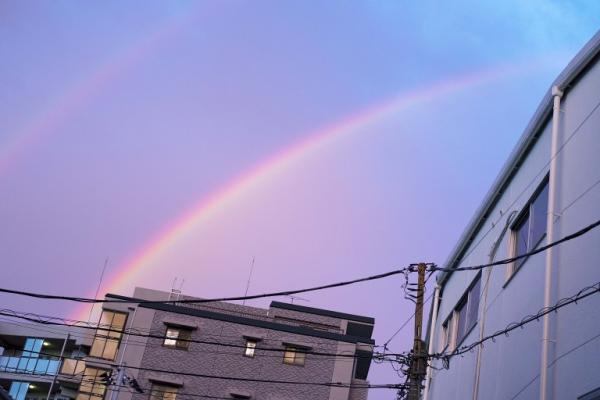 カメラのホワイトバランスってなに?　私だけの色を見つけよう! 