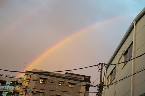 カメラのホワイトバランスってなに?　私だけの色を見つけよう! 