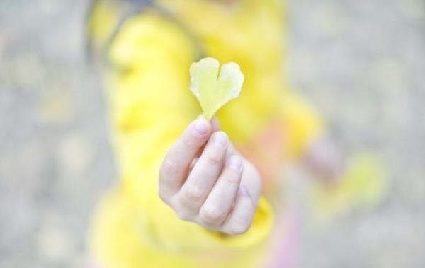 カメラのホワイトバランスってなに?　私だけの色を見つけよう! 