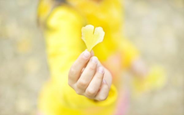 カメラのホワイトバランスってなに?　私だけの色を見つけよう! 