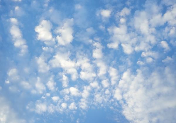 秋の散歩に…カメラで空を撮ってみよう! 