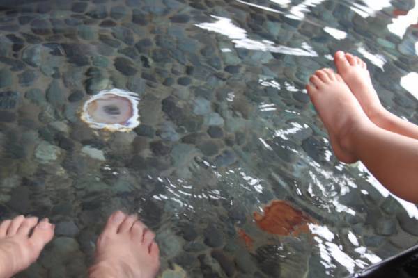 子連れで「星野リゾート　界 出雲」島根旅行レポート【前編】