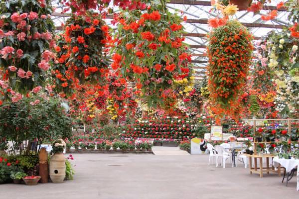 子連れで「星野リゾート　界 出雲」島根旅行レポート【前編】