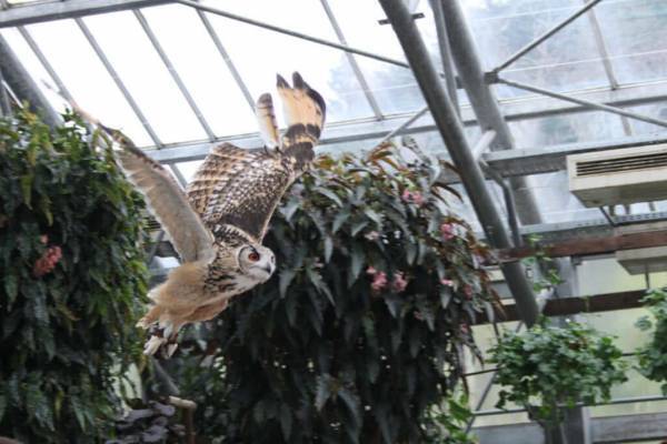 子連れで「星野リゾート　界 出雲」島根旅行レポート【前編】