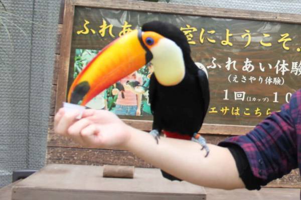 子連れで「星野リゾート　界 出雲」島根旅行レポート【前編】