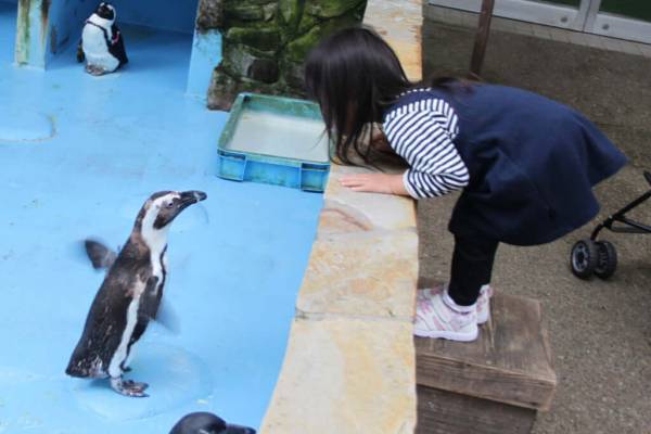 子連れで「星野リゾート　界 出雲」島根旅行レポート【前編】