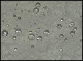 驚きの油吸収　わたポイ発売！