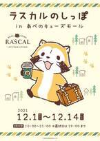 ラスカルが2年ぶりに大阪へ！ ポップアップショップ「ラスカルのしっぽ in あべのキューズモール」を開催