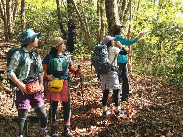 【10月23日（土）御岳山で開催】「川と森の案内人」とゆっくり大人歩きツアー