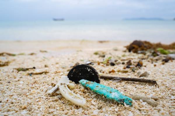 【星のや竹富島】 竹富島の文化と海を楽しく学ぶ環境保全ツアー 「まいふなーツアー」通年開催に変更します