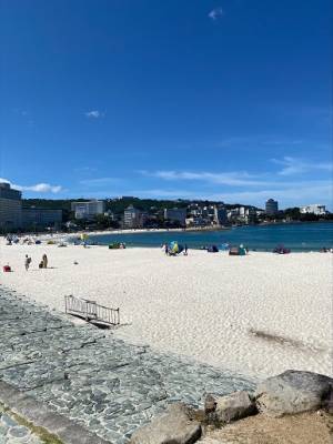 和歌山県で新しい旅のスタイル、ワーケーションを体験！ 和歌山ほっこり探訪 ～ワーケーションで和歌山を満喫～