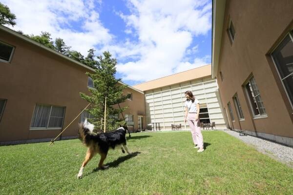 わんちゃんへの愛を川柳にして宿泊券をゲット！ 蓼科の愛犬ファーストの宿にて「秋の愛犬川柳フォトコンテスト」開催