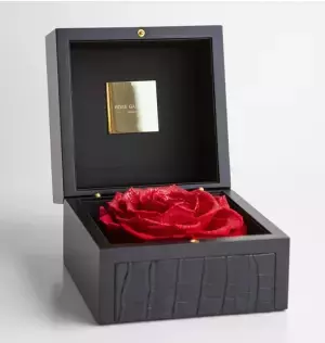 [新商品]1本2万円（税別）の最高品質のバラ！！バラ専門店のROSE GALLERYから&rdquo;The &nbsp;One Special Edition&rdquo;が登場いたします！