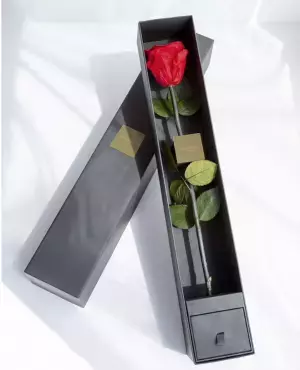 [新商品]1本2万円（税別）の最高品質のバラ！！バラ専門店のROSE GALLERYから&rdquo;The &nbsp;One Special Edition&rdquo;が登場いたします！