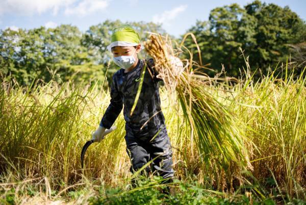 【リゾナーレ那須】「お米の学校2021」プロジェクト　完了報告リリース ～第1回「田植え」から第5回「脱穀、炊飯」まで～