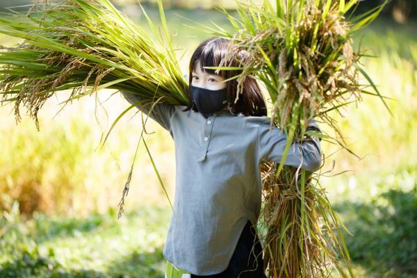 【リゾナーレ那須】「お米の学校2021」プロジェクト　完了報告リリース ～第1回「田植え」から第5回「脱穀、炊飯」まで～