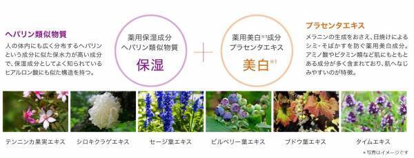 眠りの時間が、極上のスキンケアタイムに　「アドライズ モイスチュアナイトジェル」発売