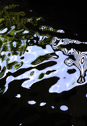 〜能とアートに触れる秋〜 夜能 平家物語[清経] &times;BEYOND PHOTO BY HIROSHI SEO 開催