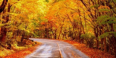 感染症対策徹底、大江戸温泉物語・栃木の宿で楽しむ秋のまんぞくバイキング。【北海道グルメバイキング】と【九州うまかもんバイキング】、好みを選んで秋の温泉旅へ！