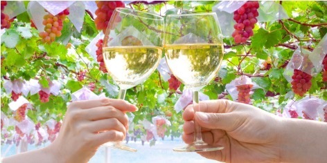 山梨県 やまなしグリーン・ゾーン認証施設 大江戸温泉物語 ホテル新光 11月3日解禁【山梨ヌーボー】とバイキング料理のペアリングを楽しむ旅へ