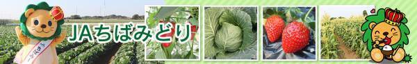 産地直送通販サイト「ＪＡタウン」で 新ショップ「ＪＡちばみどり」がオープン！