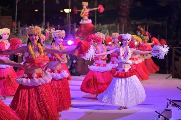 ＜年末特別企画＞交通費0円で行けるハワイ！？ ボイメン小林豊＆勇翔がもてなす、ハワイアンズツアー！ BS12『ハワイに恋して！』12月20日（月）よる9時～