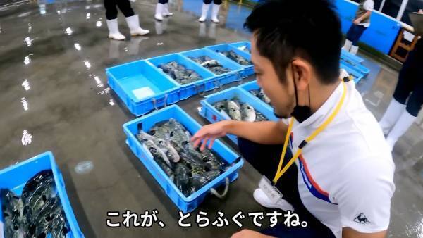 【ご当地お取り寄せグルメ"買い付け師"】世界で唯一、下関の高級ふぐ取引「袋セリ」を取材