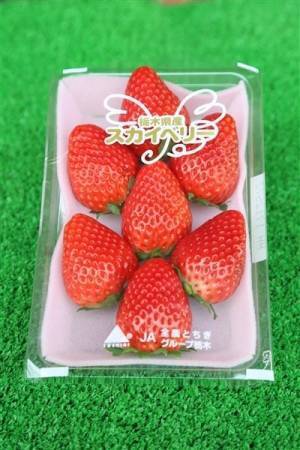 ひと口で天にも昇る、てっぺん級の甘さとジューシーさ！ 産地直送通販サイト「ＪＡタウン」で栃木県産いちご「スカイベリー」が販売開始！